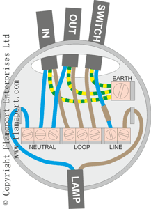 Looped Ceiling Rose wiring multiple outlets from junction box 