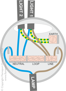 Ceiling rose with switched power in and out, no loop